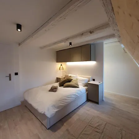 Hyper Centre Apartment Strasbourg
